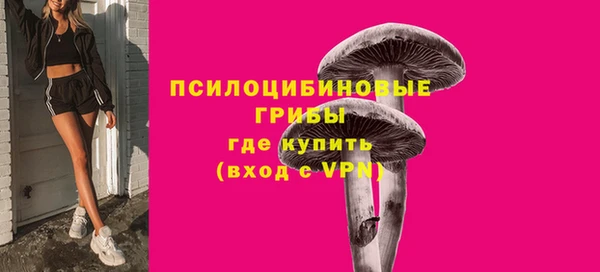 шишки Алзамай