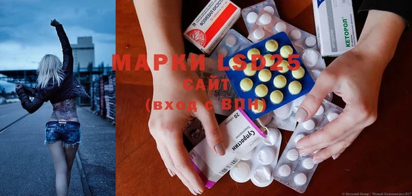 шишки Алзамай