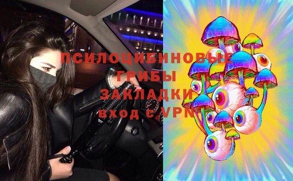шишки Алзамай