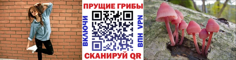 Псилоцибиновые грибы MAGIC MUSHROOMS  Курган 