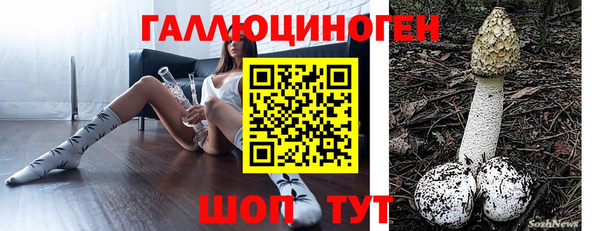 Галлюциногенные грибы ЛСД  Вход с VPN  Курган 